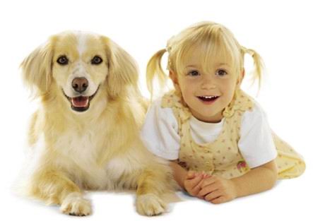 peaceful - I like this pic, Human and animal live together.