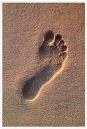 Barefoot - Its my barefoot days meaning starting over, new dreams, new hope and strong faith