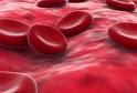 What is your blood type? - red blood cells
