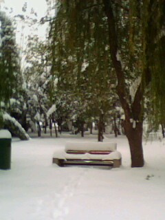 snow - the snow scinery of our university