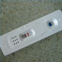 Pregnancy - Forg test