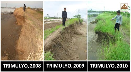 huge abrasion in trimulyo village - semarang, cent - huge abrasion caused by ponds (tambak)