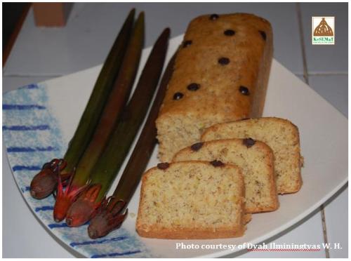 mangrove cake. yummy! - mangrove cake. yummy! it made from bruguiera gymnorrhiza fruit 