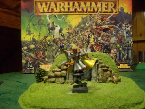 Warhammer fantasy Battle High Elf Mage - Warhammer fantasy battle high elf mage in front of 6th edition warhammer box lid. The mage is on some home made scenary which we call the mine entrance.