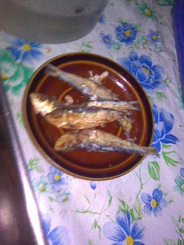 Dried fish - This is dried fish