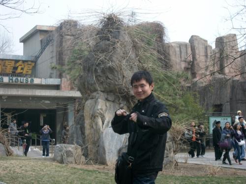 in beijing zoo - cool