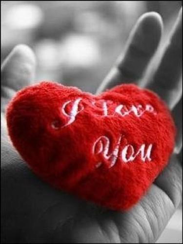 True Love - Love is in the Air....