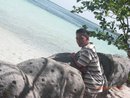 picture - my picture