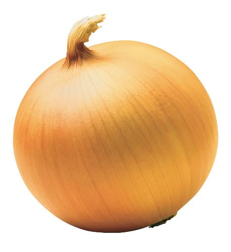 onion - yellow onion