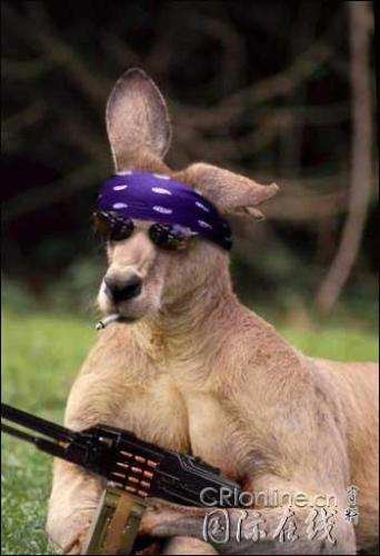 Gangster,loaded,bang. - He lookes a cool dued,He looks fearce.