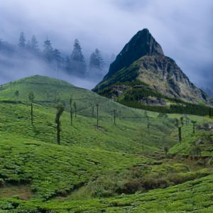 wonder of the world - Must visit these place before dying