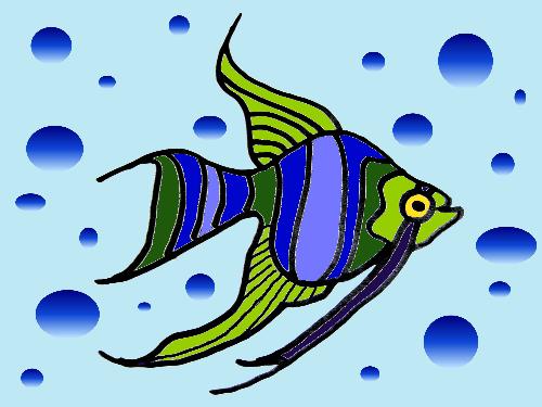 Angel Fish Drawing - A colorful Angelfish for EvrWonder
