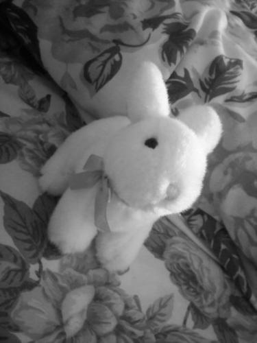 Bunny - This was a present from my friend for Christmas. I love it so much :)