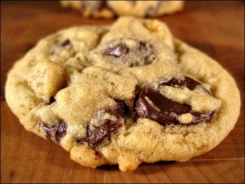 chocolate chip cookie - really delicious