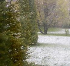 Snow in April - My backyard covered in some snow.