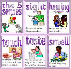 A chart that details the five senses.  - This is a chart that details the five senses. The senses of smell, sight, touch, sound, and taste. It is used as a visual aid for this post.