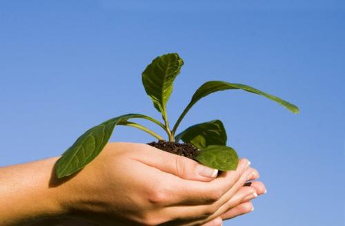 Care for Environment - taking care of nature