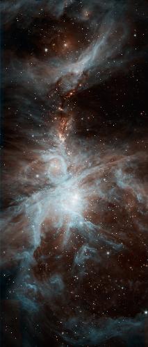 Spitzer's Orion - This is a picture from NASA's Picture of the Day showing the magnificent Orion Nebula. This image was taken from the Spitzer's Space telescope. It's gorgeous isn't it?