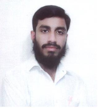 my picture - my photo