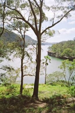 bushwalking or trekking in the bush - seems nice doing bushwalking in sydney australia,haven't tried it.but i really love to,if only i live few blocks away from there!hehehhe.