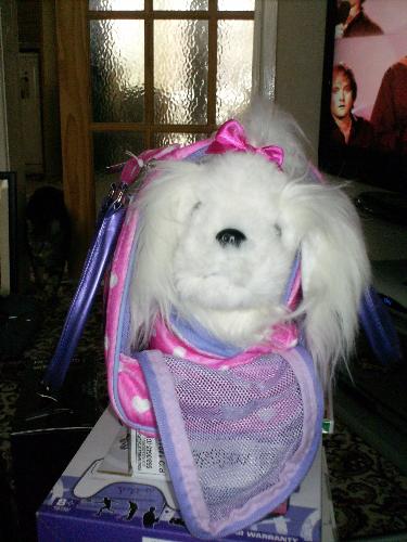 Dog in a bag - I have always wanted a small dog to take everywhere with me , my husband thought it would be funny to grant my wish and get me this Dog in a bag for xmas lol Her name is Chloe