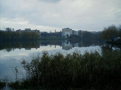 Lake - My favorite lake