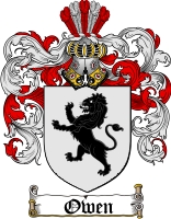 The Owen family crest - This is the official crest of my family