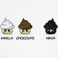 Vanilla, Chocolate...NINJA - This is a photo of muffins...