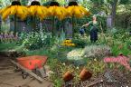 gardening - gardening is a very nice hobby!,..when the plants you planted grow its such a very heart warming feeling,.