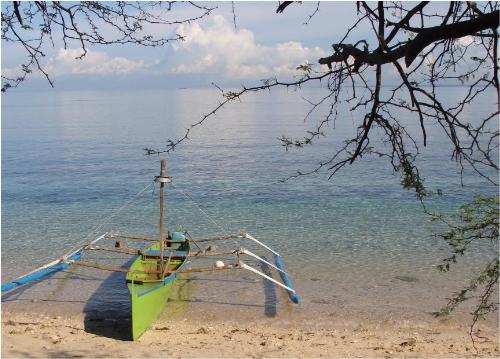 Balaki Island, Philippines - The Balaki Island is an one of the 7107 islands located at the Philippine archipelago. To get there you have to take a 15-minute boat ride from the shores of the town of Infanta, Pangasinan. The island is in between South China Sea and Dasol Bay. This is a pretty small island. You can go around it in minutes. The western half is already a private property but the eastern half is still free for the public. This is one place to go snorkeling.