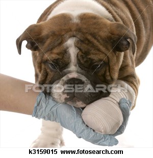 Bulldog - Bulldog!