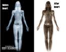 Body scanner, airport scanner, see thru scanner - Body scanner, airport scanner, see thru body scanner