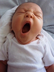 yawning - why it happens....