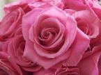 Love - Love always