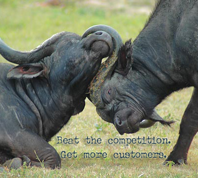 Competition. - A Huge Competition Between Two Giants.