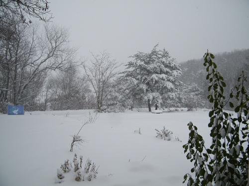 Front Window View Winter 2009 - This was taken after our first big snow last winter, the beginning of the EVIL winter, the bad, bad winter, the one I never want to see repeated! Oh, it was beautiful but, geez, over eight feet of snow is too much, ya know?