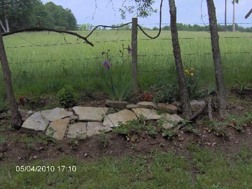 This is right out our kitchen window - this is just one of our flower beds we see early in the morning