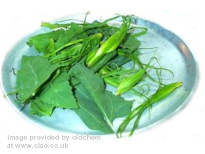 Samphire - A free food for us all to pick Samphire - A free food for us all to pick