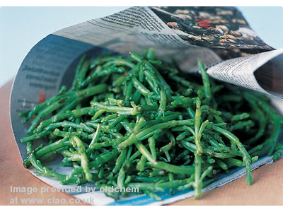 SAmphire - something for nothing from the land