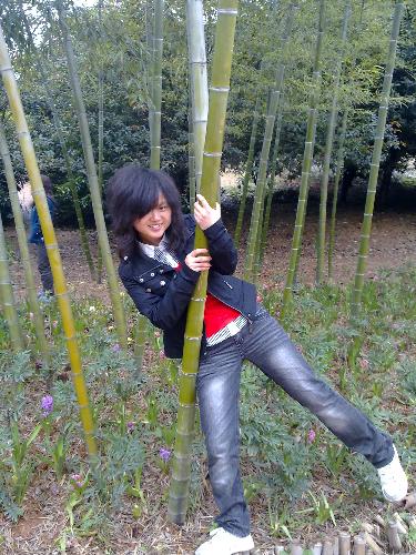 the beautiful Plant Park in my city - It is took in a Aril when most of the flowers in our city blooms.So that day four of my friends and I went there to enjoy the beauty of nature.