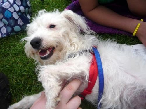 Pixie - A photo I took of Pixie