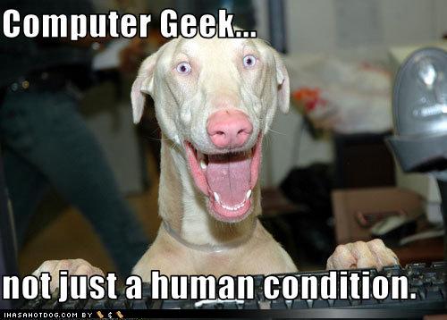 computer geek - just funny dog XD