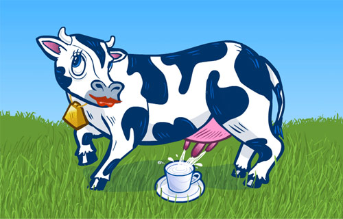 Cow's milk - Fresh Cow's milk