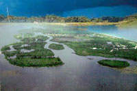 majuli - majuli... the world's largest river island