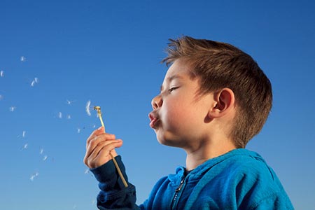 Blowing dandelions - This act resulted in a child being abducted!!