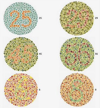 A simple colourblind test. - A quick and simple eye test to check for colourblindness. You should be able to see the numbers printed next to each coloured circle within the circle.