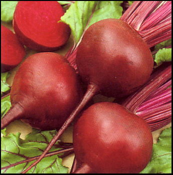 Beetroot - Beetroot Juice May Boost Stamina, drink anyone?