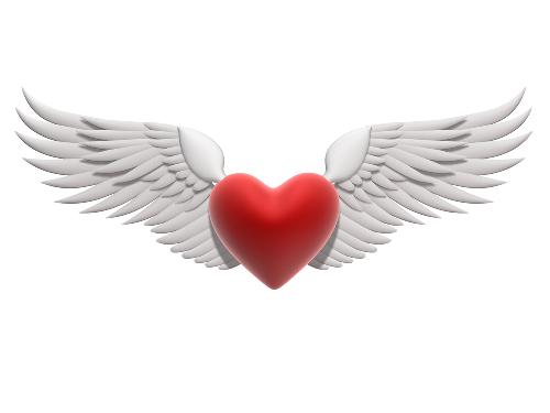 Heart - Flying