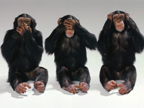 Hearing, Sight, Sound - Which do you fear losing the most. Your sight, your hearing, or your ability to speak.