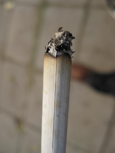 cigarette  - i clicked this when we where trying to find public smoker but in the end we became one :)